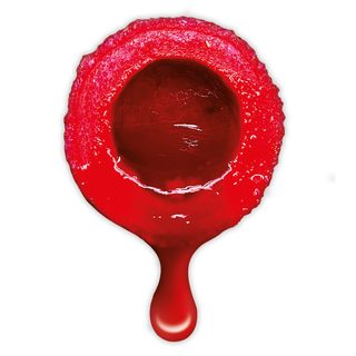 LK Baits Nutrigo Extra Wild Strawberry