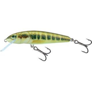 Salmo Wobler Minnow Sinking 7cm