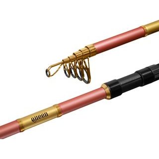 Delphin Prut Queen Tele 300cm 100g