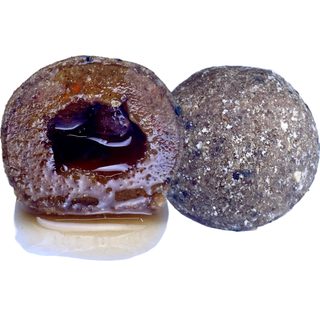 LK Baits Pet Doplněk stravy Nutrigo Dog Supplement Worm Ex