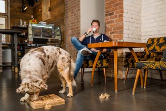 DOGLOG - Hlavolamy a edukačné pomôcky pre psy