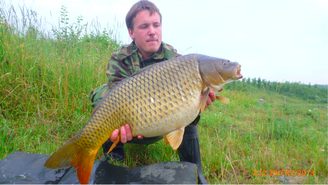 Pelety alebo boilies?