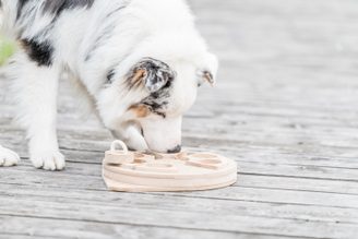 DOGLOG - Hlavolamy a edukačné pomôcky pre psy