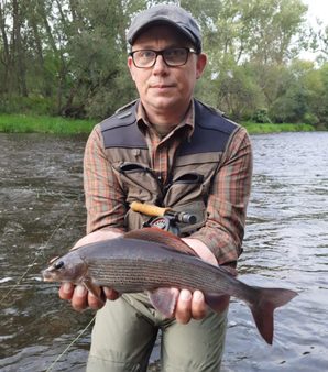 Lipan podhorný