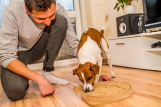 DOGLOG - Hlavolamy a edukačné pomôcky pre psy