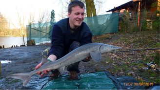 Jak se připravit na jesetera. Lehký a zaručený způsob!