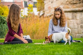 DOGLOG - Hlavolamy a edukativní pomůcky pro psy