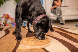 DOGLOG - Hlavolamy a edukativní pomůcky pro psy