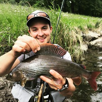Lipan podhorný
