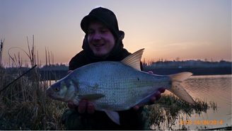 Pelety alebo boilies?
