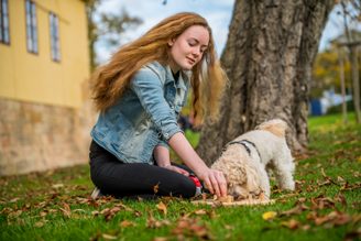 DOGLOG - Hlavolamy a edukačné pomôcky pre psy
