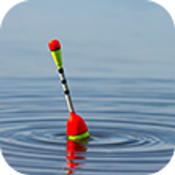 Přejít do kategorie