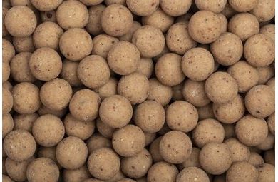 Nash Boilies Citruz