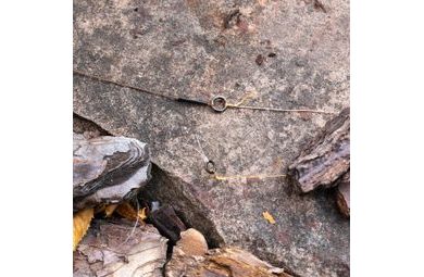 Delphin Krúžky BOMB! Split RINGS 20ks