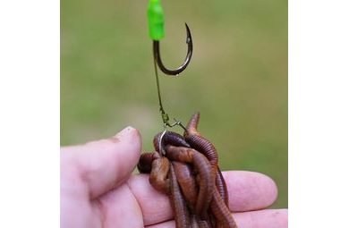 Zfish Vrtáček s Kroužkem Bait Screw & Oval Ring 10ks