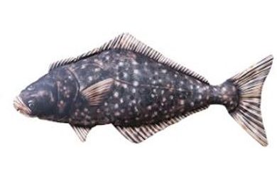 Gaby Polštář Halibut - 72 cm