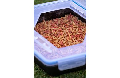 Zebco Krabička Trophy Accessory Box 15 Slot