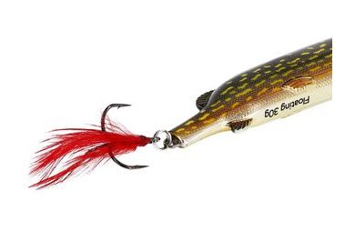 Westin Wobler Swim Glidebait Real Perch