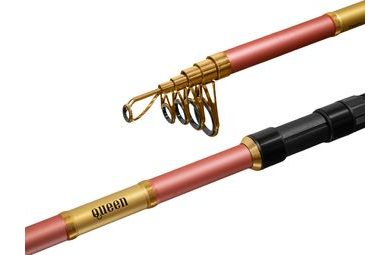 Delphin Prút Queen Tele 300cm 100g