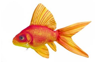 Gaby Polštář Zlatá rybka 60 cm