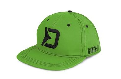 Delphin Kšiltovka Rawer SnapBack