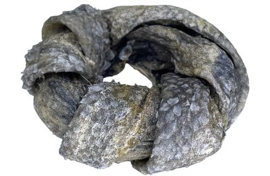 LK Baits Pet Luxusný venček z kože tresky 20g