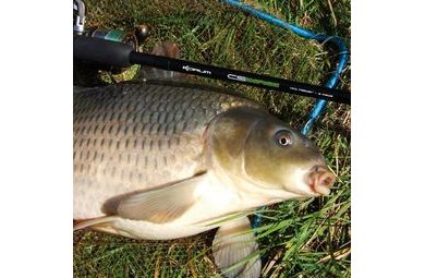 Chytil Method prednavlhčená krmivová zmes 750g