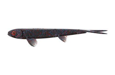 Westin Gumová nástraha TwinTeez Pelagic V-Tail Black Mamba 2ks