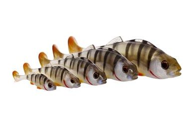 Savage Gear Gumová nástraha 3D Line Thru Trout Artic Char