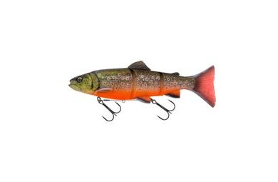 Savage Gear Gumová nástraha 3D Line Thru Trout Artic Char