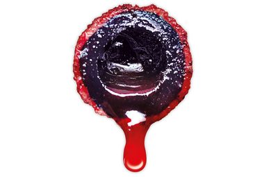 LK Baits Nutrigo Extra Bloodworm