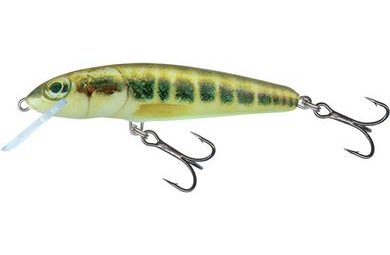 Salmo Wobler Minnow Sinking 7cm