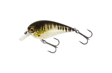 Westin Wobler BassBite 2.5 Squarebill Floating Real Minnow