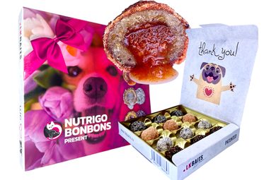LK Baits Pet Sváteční bonboniéra Nutrigo Bonbons Present pro větší psy
