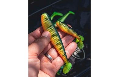 Zeck Prut Barsch Alarm Spin Search and Jig 238cm 7-21g