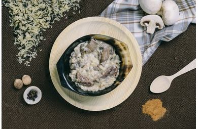 Forestia Campingová strava Hovězí Stroganoff
