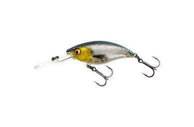 Westin Wobler BuzzBite Crankbait 3D Headlight