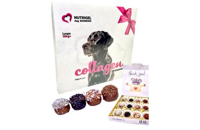 LK Baits Pet Kolagénová bonboniéra Nutrigel Collagen Bonbons pre väčšie psy 130g