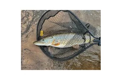 Fencl Originální náhradní pogumovaná podběráková síť 300 x 85cm