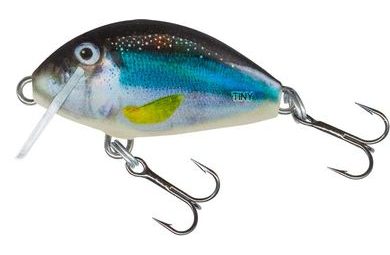 Salmo Wobler Tiny Holo Smelt