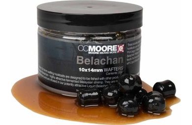 CC Moore Boilies Belachan Wafters