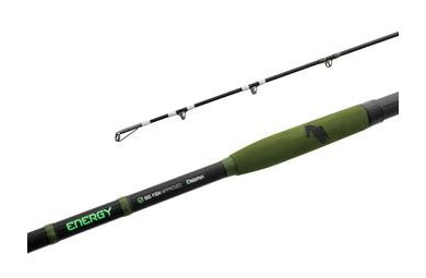 Delphin Prut Energy Catfish 3,1m 250-500g