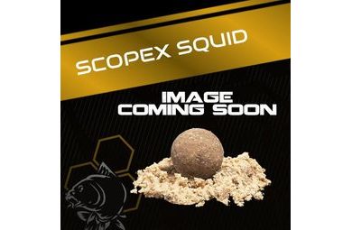 Nash Krájané boilies Scopex Squid Flake