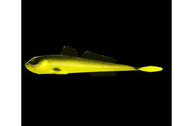 Libra Lures Larva Pellet