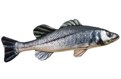 Gaby Polštář Sea Bass (Mořský vlk) 70 cm