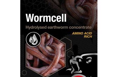 LK Baits All Amino Nutric 250ml