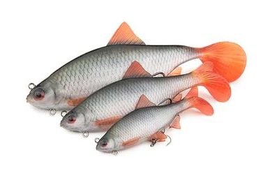 Savage Gear Gumová nástraha 3D Line Thru Trout Artic Char