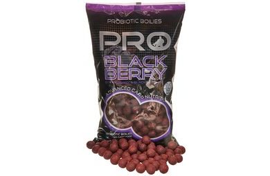 Starbaits Boilie Probiotic Pro Blackberry