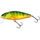 Salmo Wobler Perch Floating 8cm