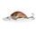 Salmo Wobler Rattlin Hornet Floating 4,5cm
